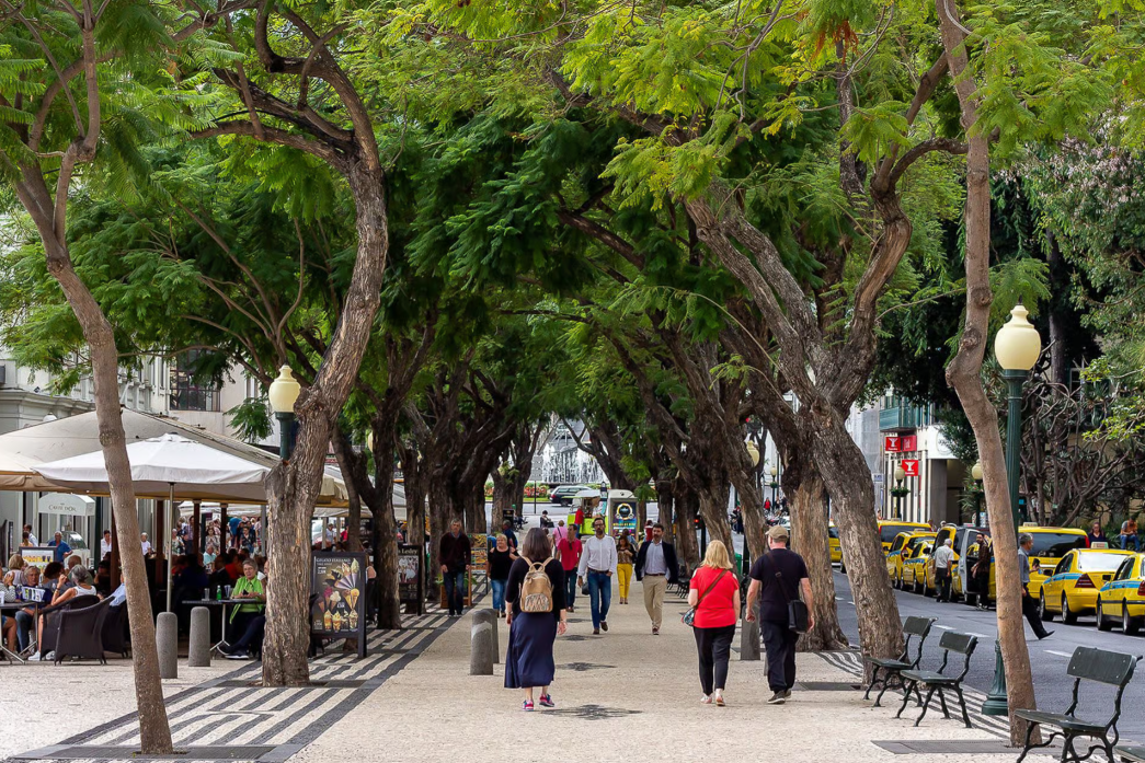 Funchal: excursão a pé pelo centro histórico